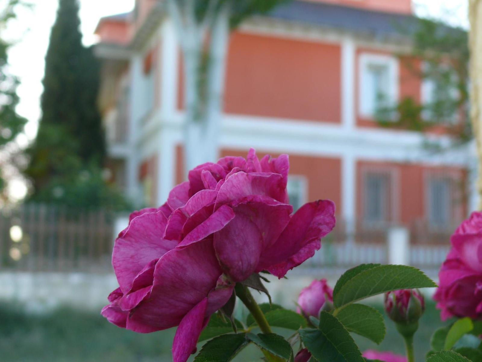 La Casa Grande De Gormaz Villa Quintanas de Gormaz Bagian luar foto